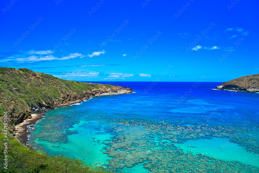 游客在瓦胡岛海滩的水中玩耍。这是一个天然海湾。2019年6月，美国夏威夷。