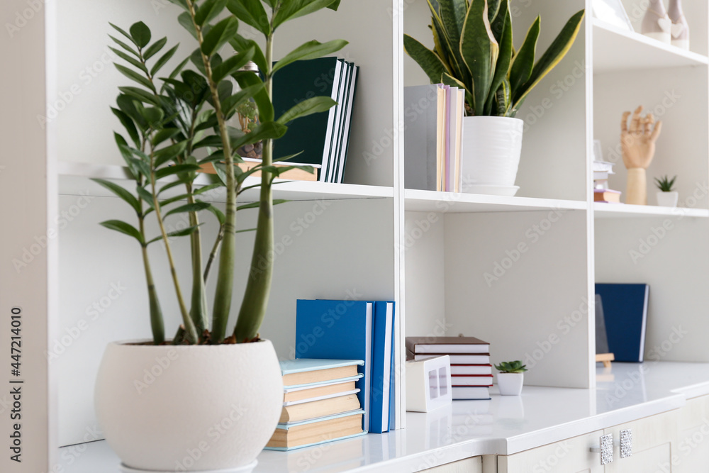 Shelf unit with books and houseplants, closeup