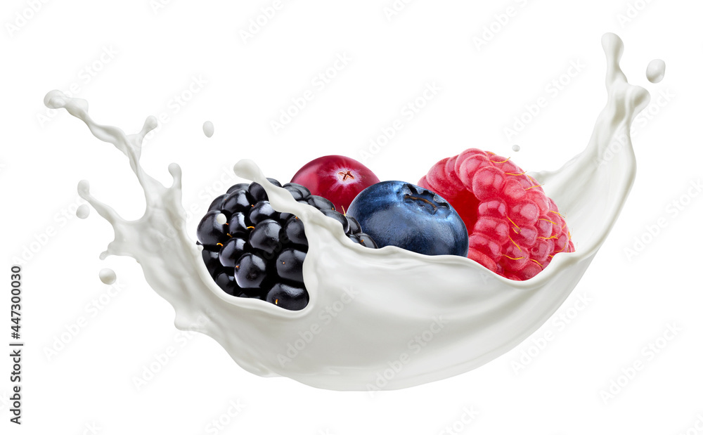 Forest berries with milk splash isolated on white background