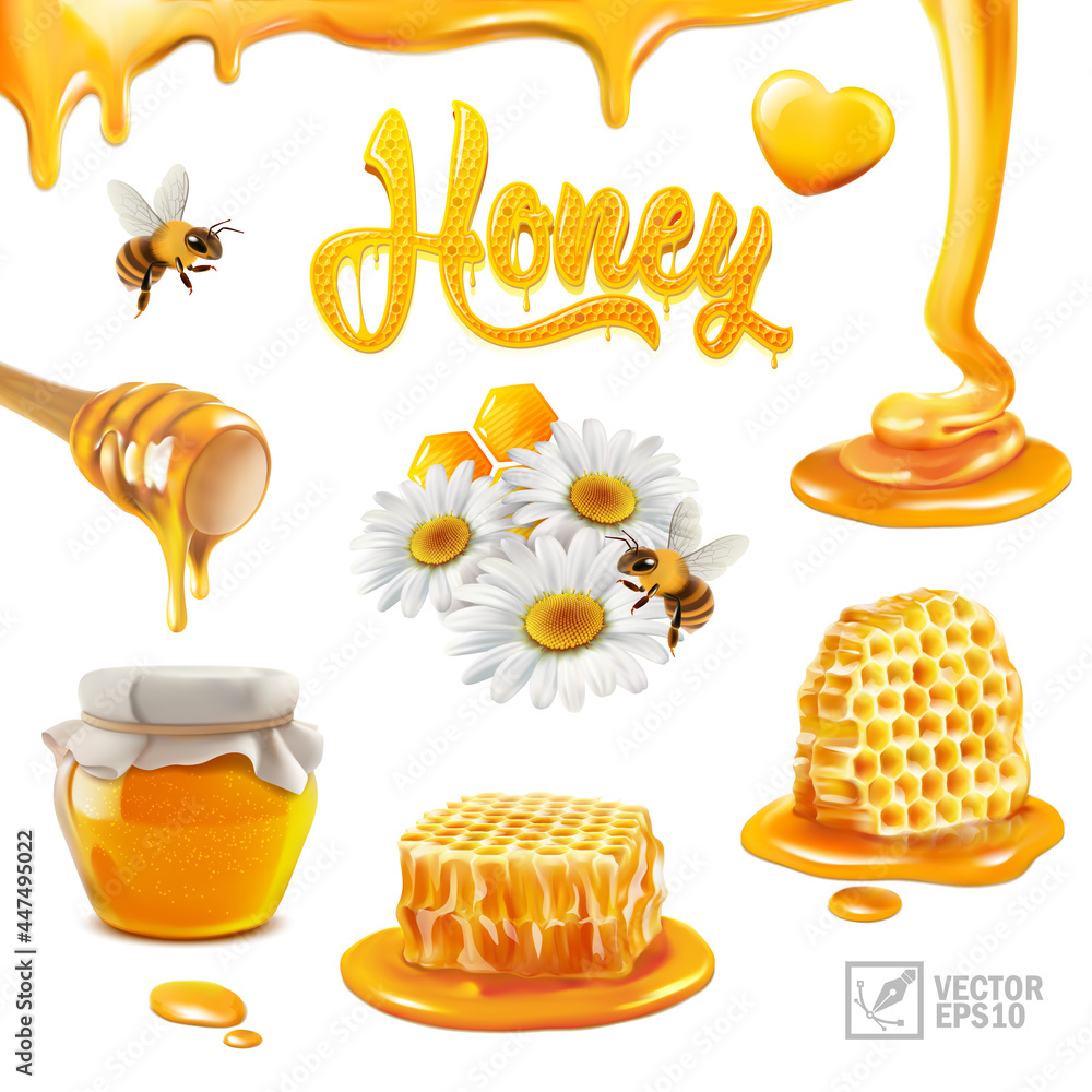 3d realistic vector set with honey, pieces of honeycomb, flying bee, chamomile flowers, propolis, fl