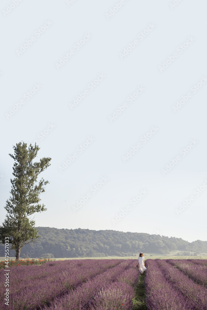 Young woman staying on lavender field with one tree and enjoy the beauty of nature. Calmness and min