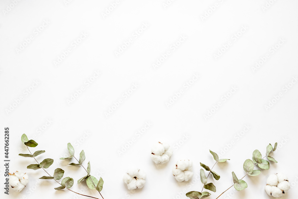 Eucalyptus leaves and cotton flowers pattern, flat lay