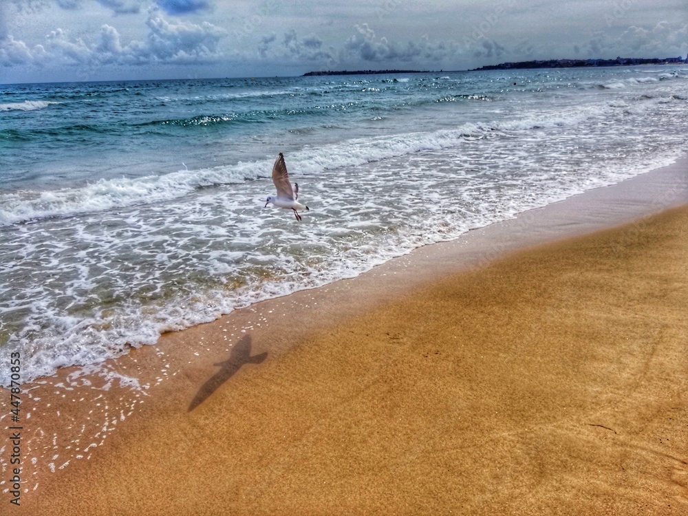 person on the beach