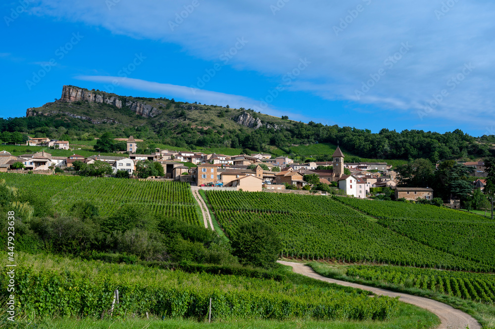 Paysage de vignoble en Bourgogne autour du village de Pouilly-Solutré en France dans le département 