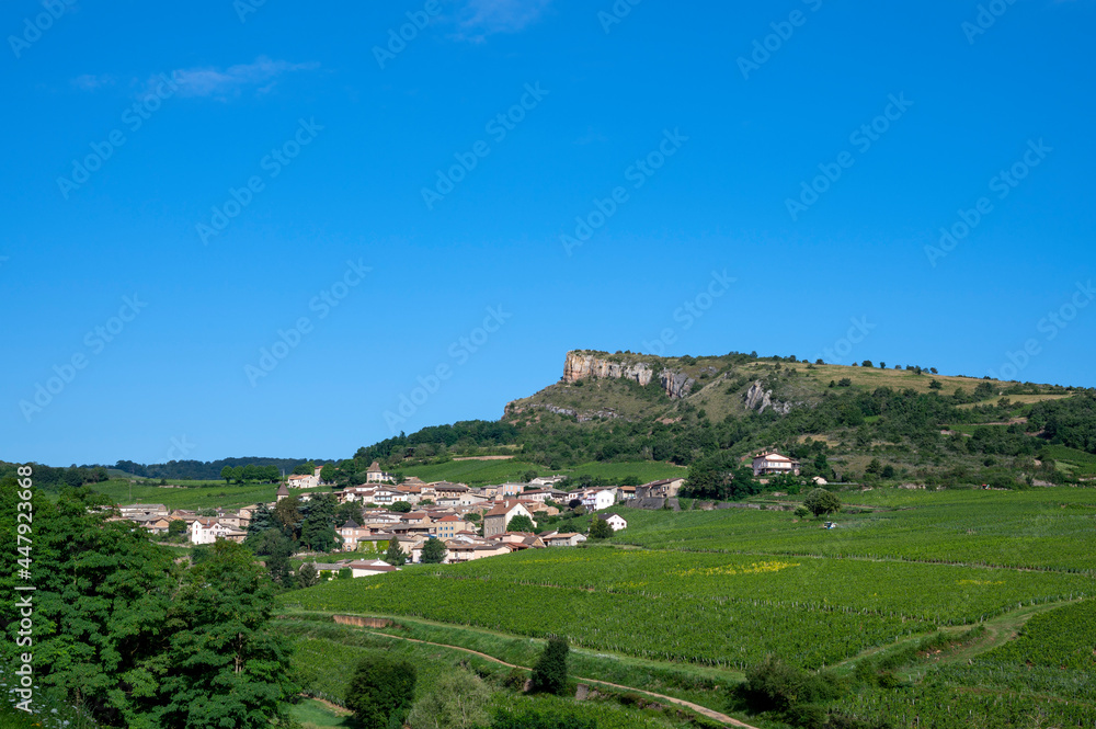 Paysage de vignoble en Bourgogne autour du village de Pouilly-Solutré en France dans le département 