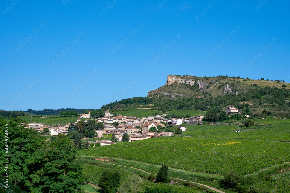 Paysage de vignoble en Bourgogne autour du village de Pouilly-Solutré en France dans le département 