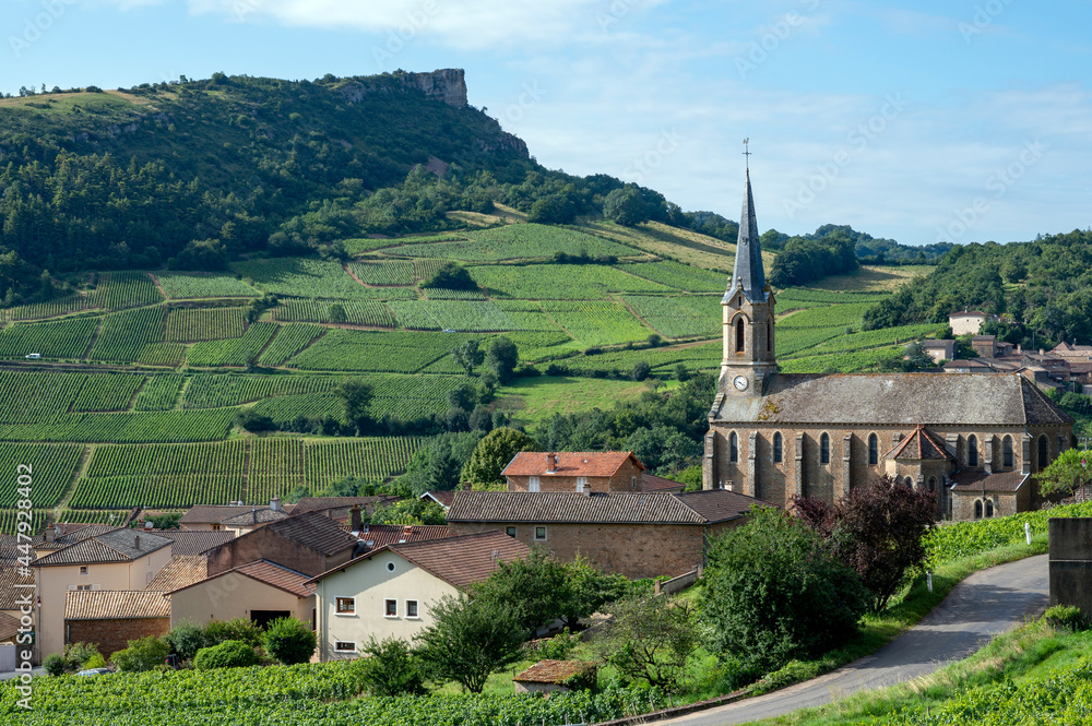 Paysage de vignoble en Bourgogne autour du village de Vergisson en France dans le département de Saô