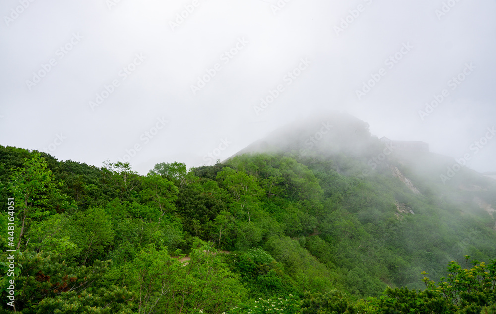 霧がかかる高山の風景