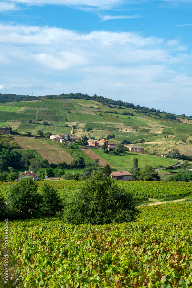 Le village de Saint-Vérand dans le vignoble du Beaujolais en Saône et Loire en France en été