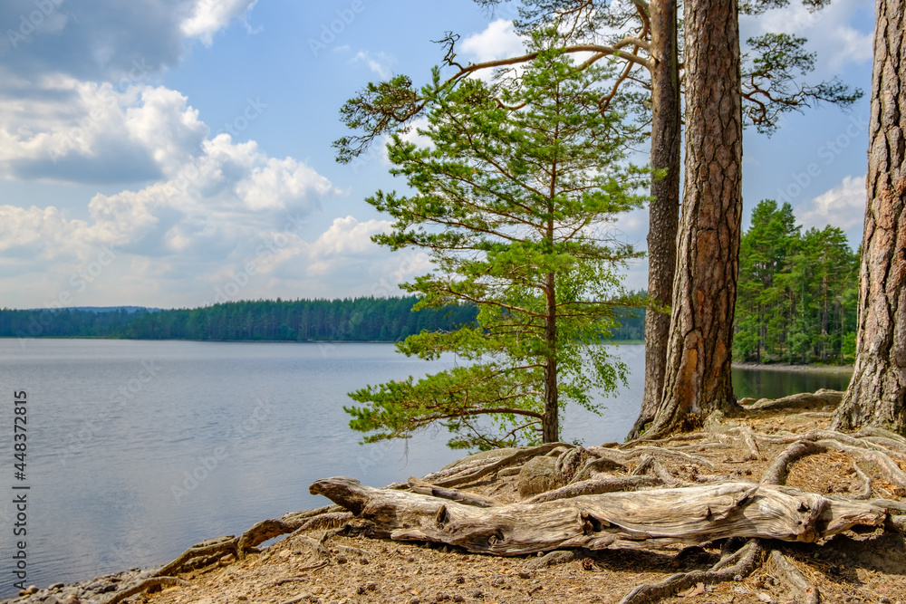 lake hornsjön near habo in sweden