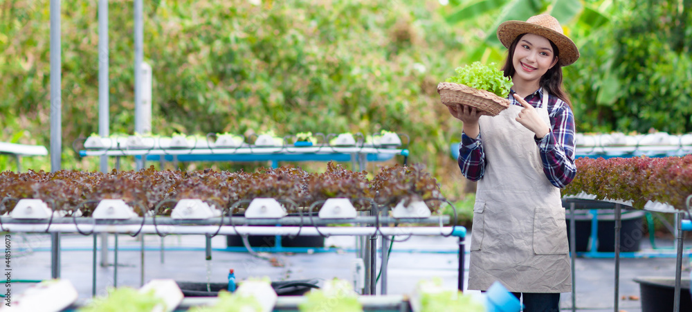 Asian pretty farmer works on a hydroponics vegetable farm.