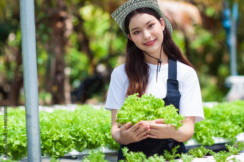 在菜场工作的年轻农民正在收割水培蔬菜。