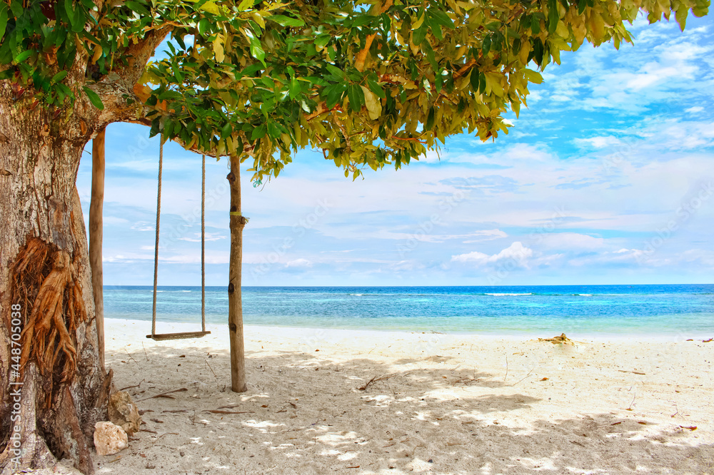 beach with  trees