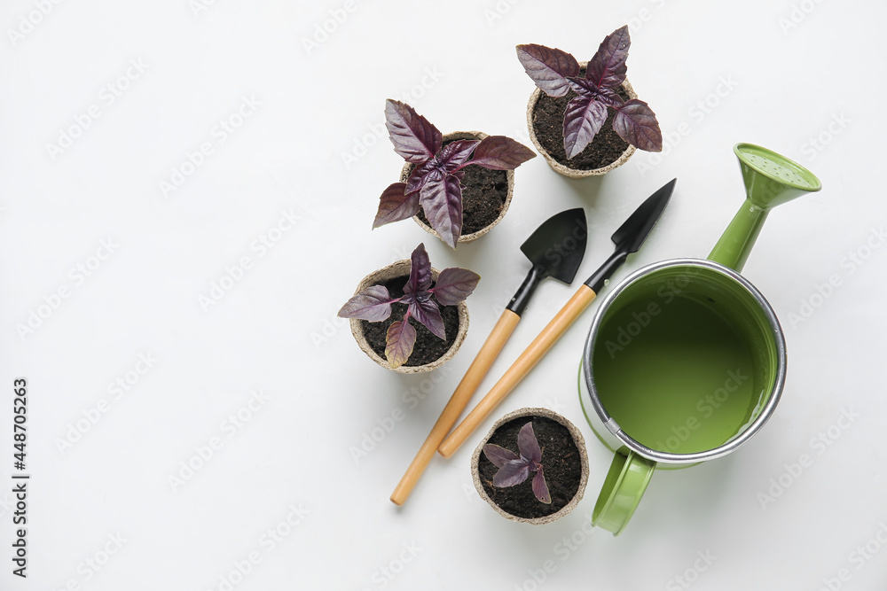 在泥炭盆中种植幼苗，在浅色背景下种植园艺工具