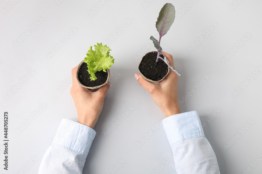 在浅色背景下，女性手拿泥炭盆中的植物幼苗