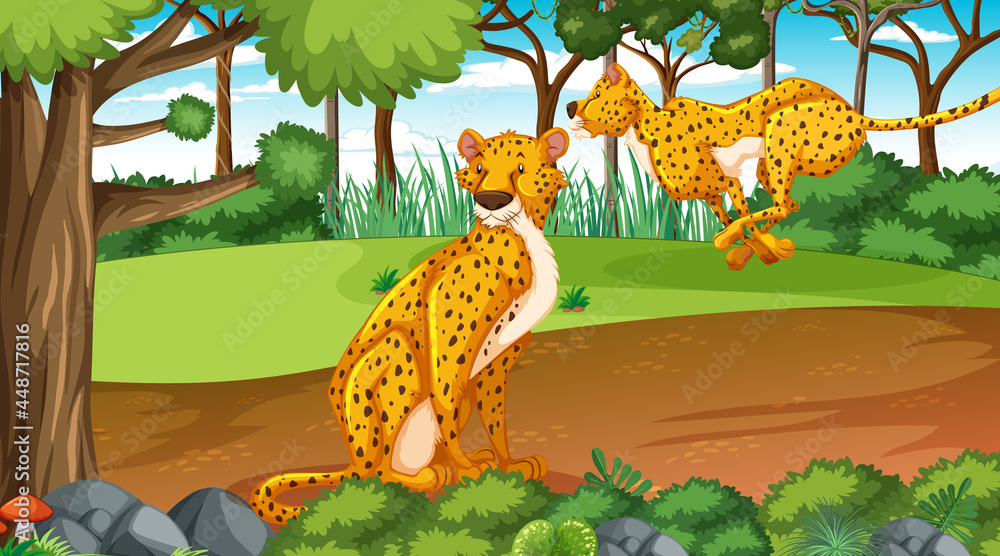 Cheetah in forest or rainforest at daytime scene