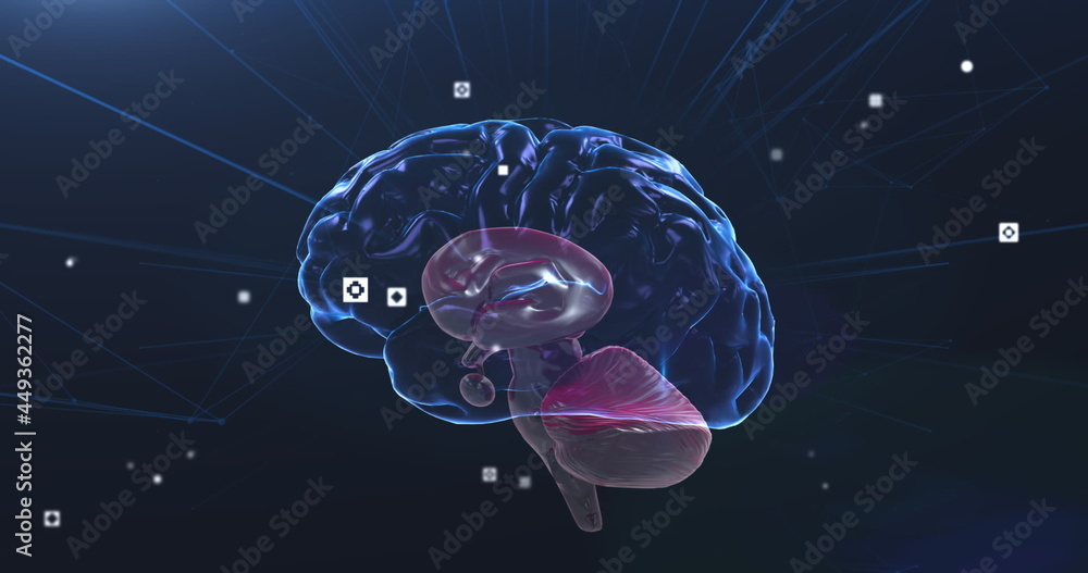 二进制编码数字随人脑旋转而变化的图像