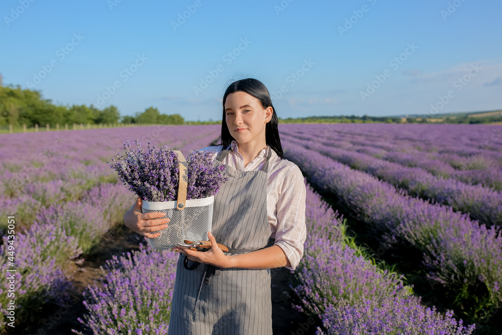 地里拿着薰衣草花篮的女农民