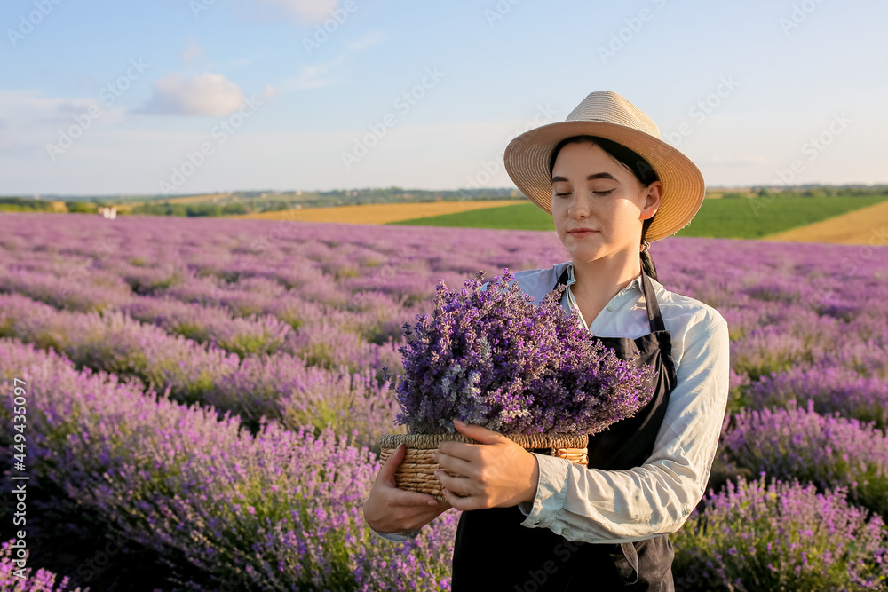 田里有薰衣草花的女农民拿着盒子