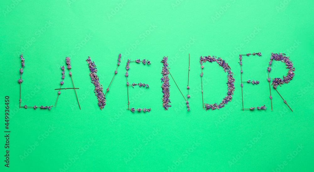 Word LAVENDER由彩色背景上的花朵制成