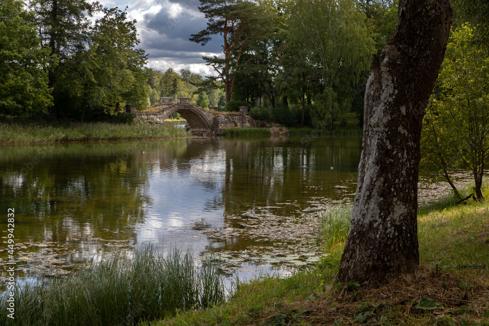 In the foreground is an old tree with rough bark in a green summer park. In the background is a larg