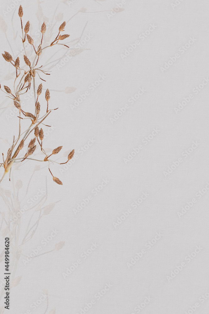 Dried floral background natural design space