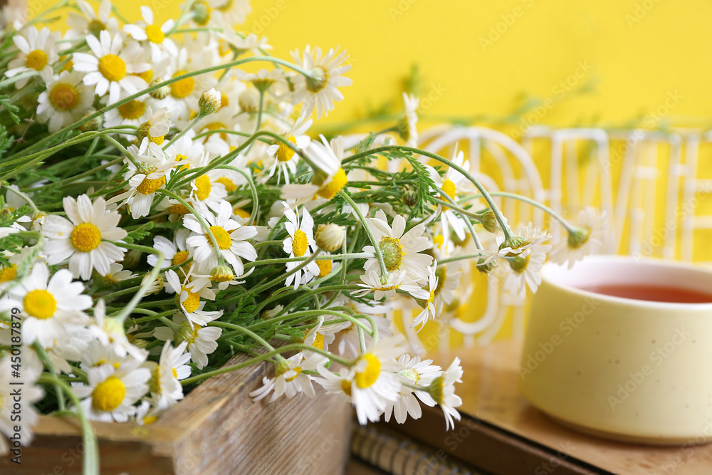 靠近彩色墙的桌子上放着洋甘菊的盒子，特写