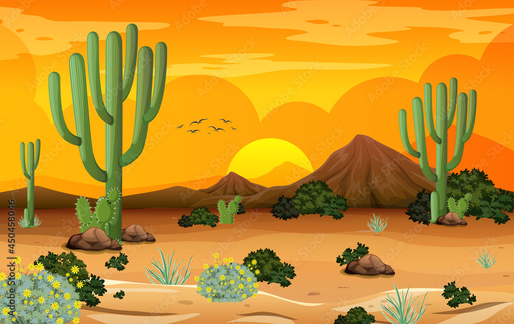 Desert forest landscape at sunset time scene with many cactuses