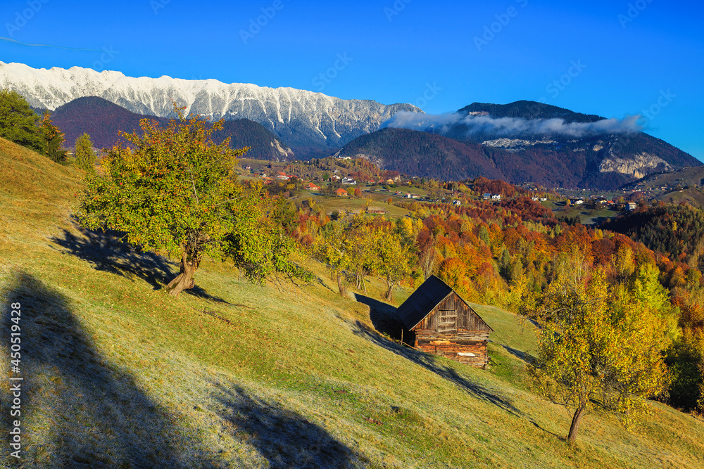 罗马尼亚秋天的风景，有五颜六色的落叶树和雪山