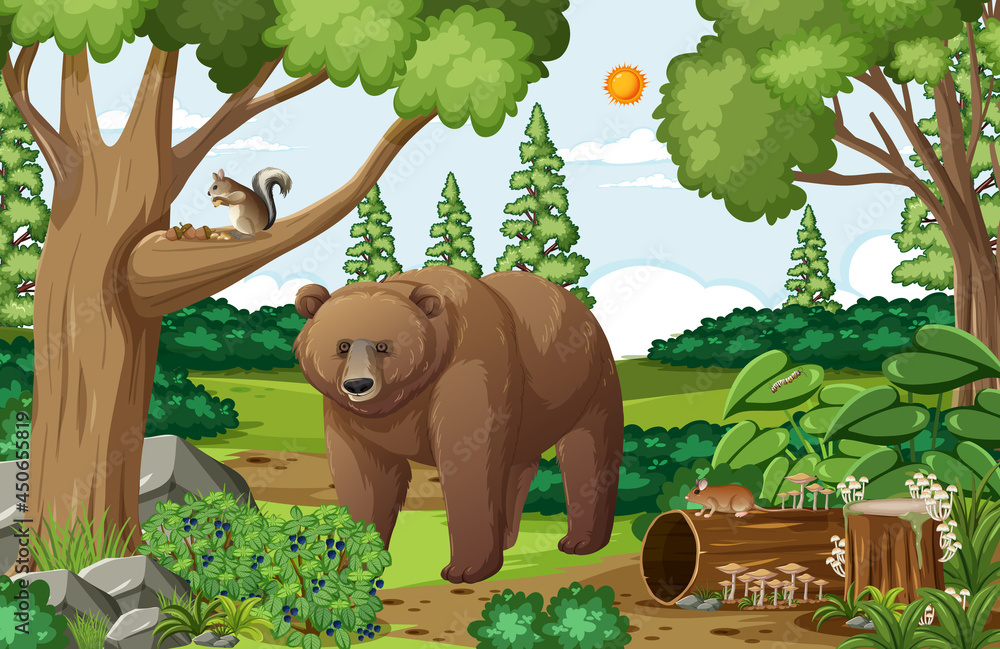 Scene with grizzly bear in the forest at daytime