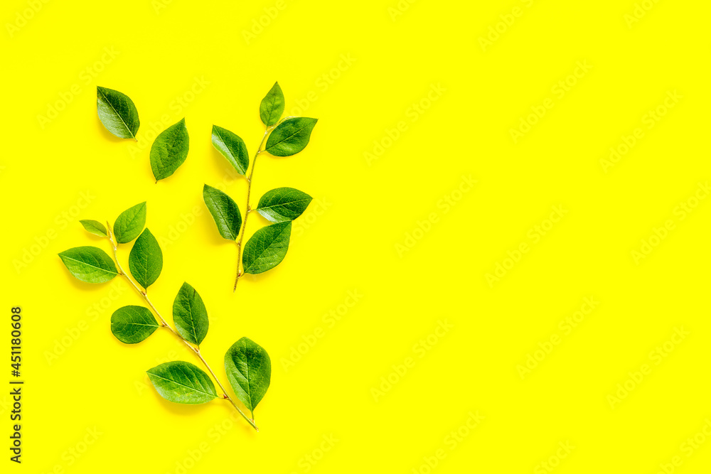 Layout of trees leaf branches. Floral background top view