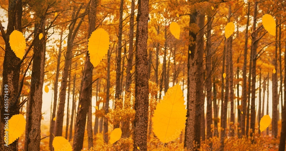 Composition of leaves falling over autumn forest scenery