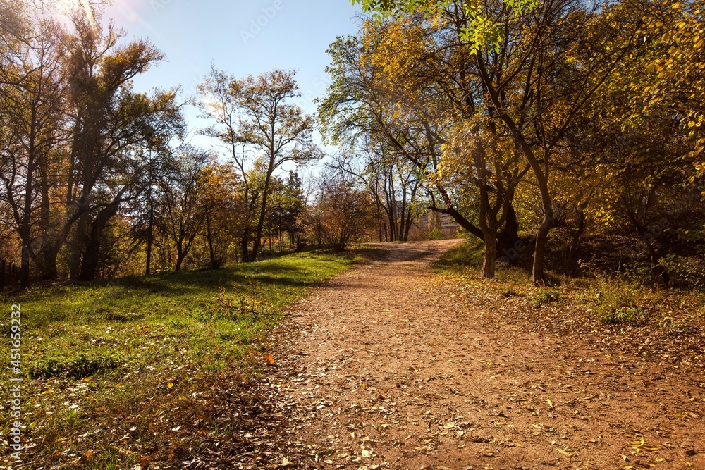 Autumn colors along a trail