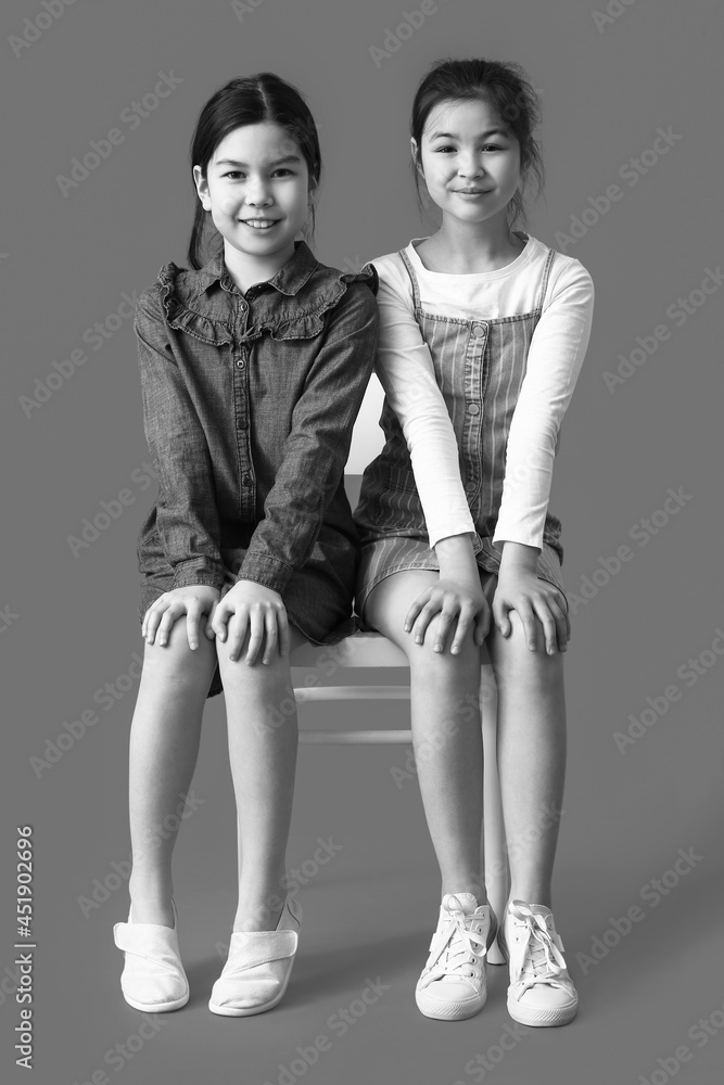 Black and white portrait of cute little sisters on grey background