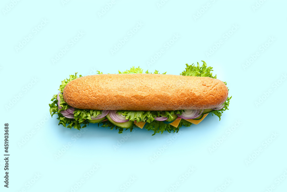 Tasty sandwich on color background