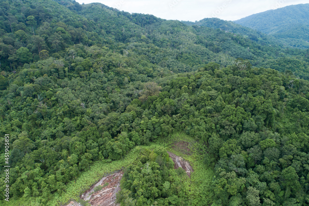 Aerial view Drone camera top view rainforest trees ecology with healthy environment concept and summ