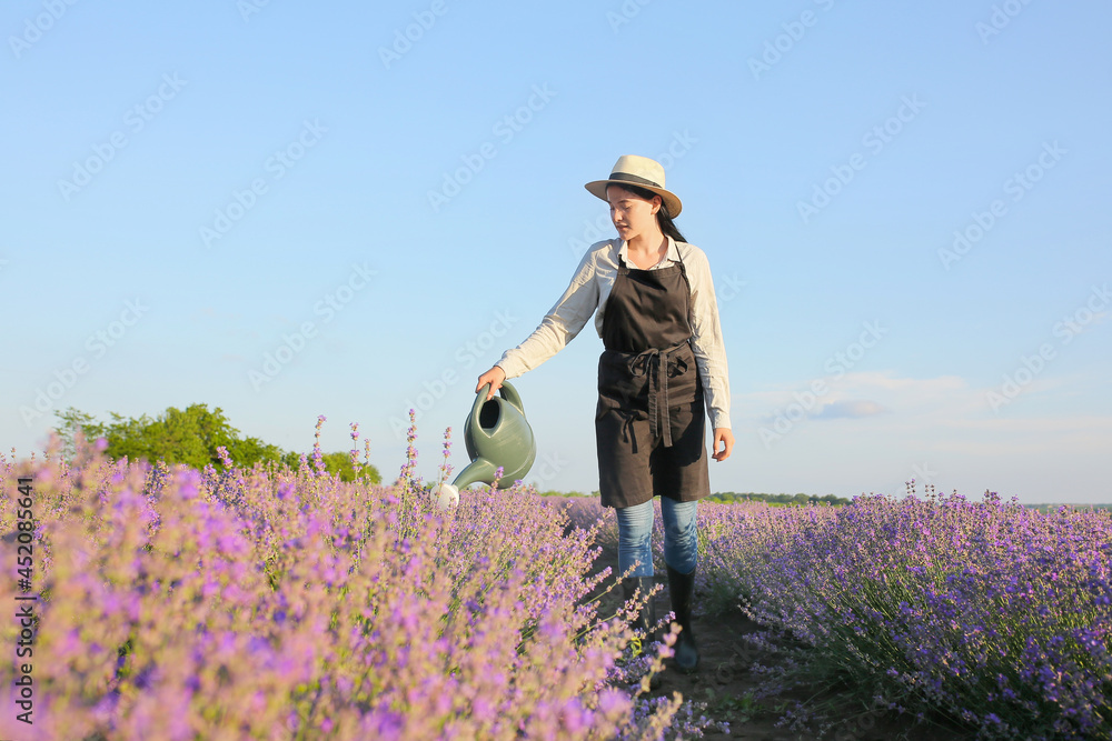 薰衣草地里有喷壶的女农民