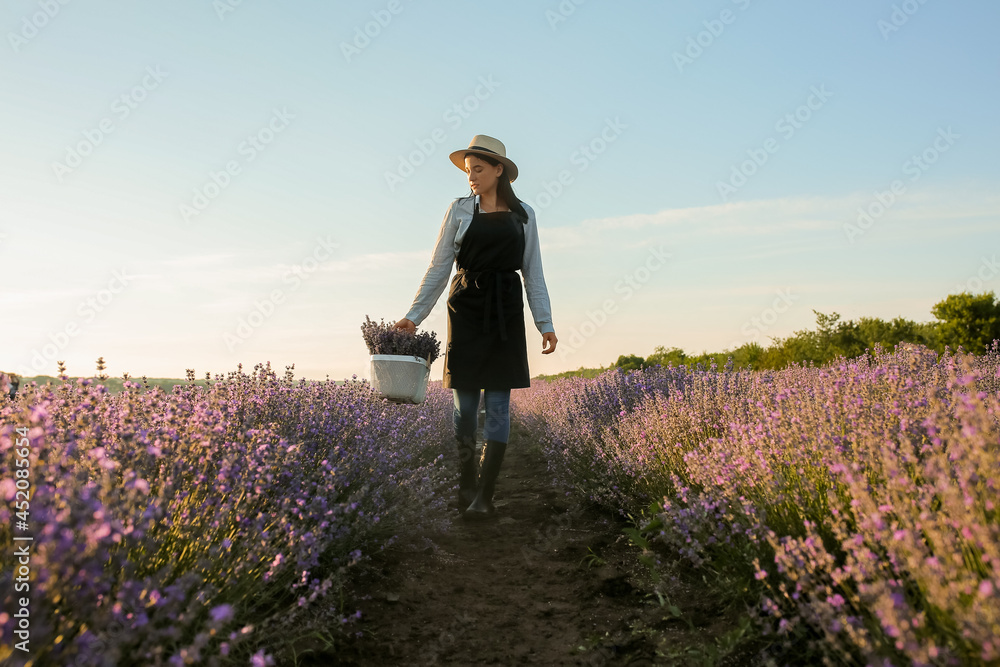 地里拿着薰衣草花篮的女农民