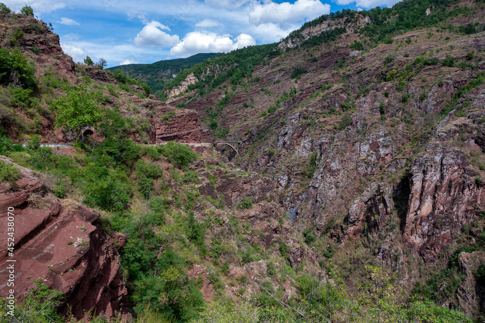 Paysage de montagne dans les gorges du Daluis dans les Alpes-Maritimes en été où coule la rivière Va