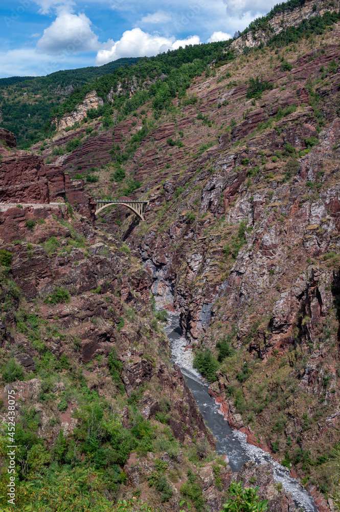 Paysage de montagne dans les gorges du Daluis dans les Alpes-Maritimes en été où coule la rivière Va