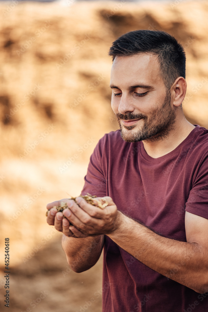 Adult man, making sure the wheat is edible.