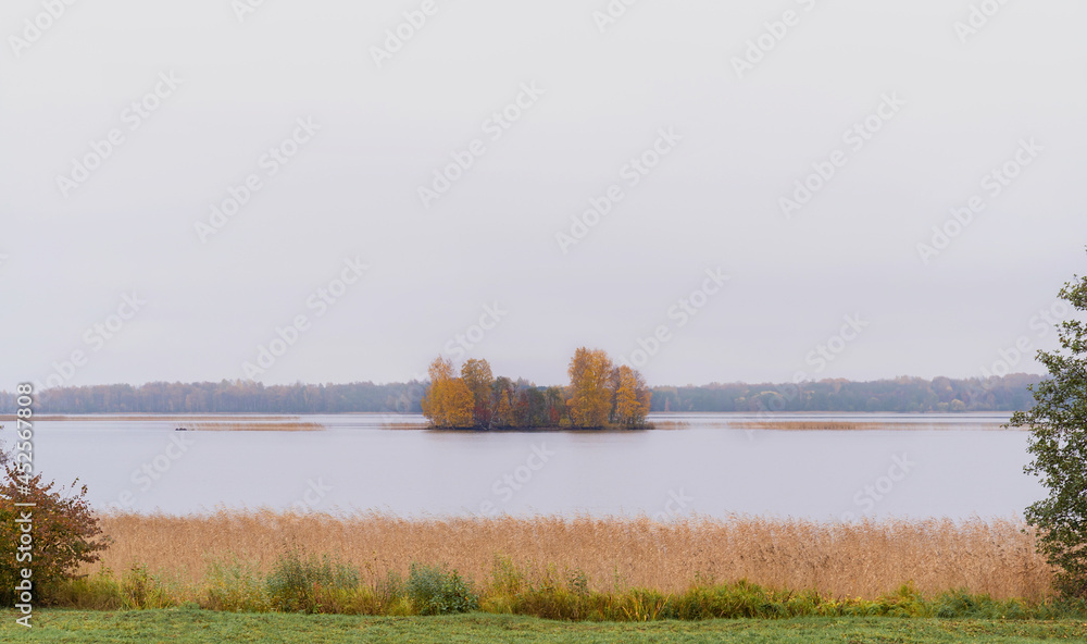 美丽的秋季薄雾湖和森林野生景观。秋季森林和湖泊背景。伟大的德西