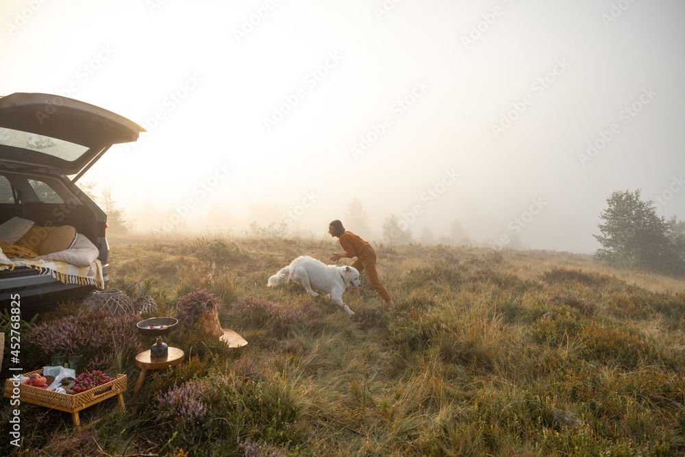 雾天里，一名妇女带着她的狗在山里开车旅行