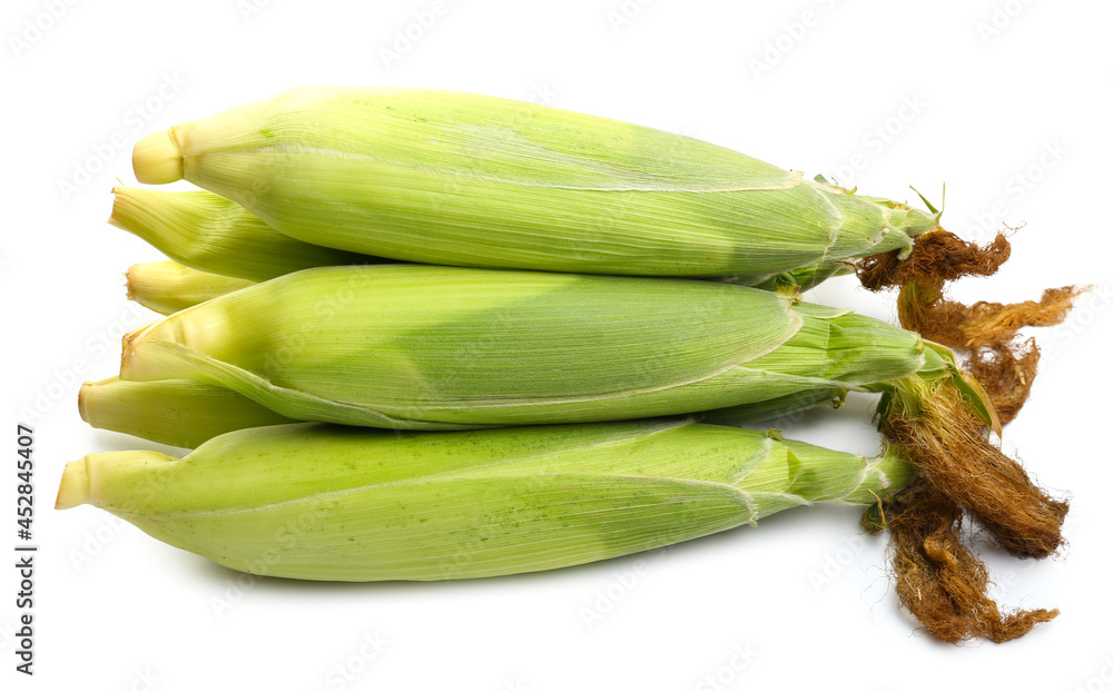 Fresh corn cobs on white background