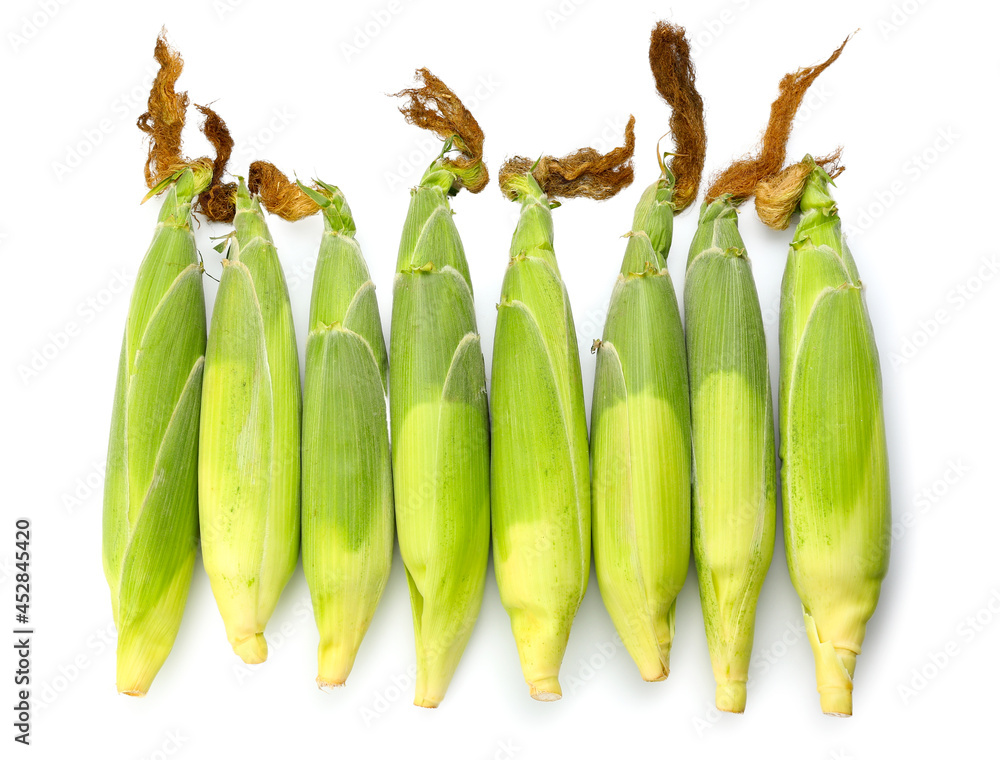 Fresh corn cobs on white background