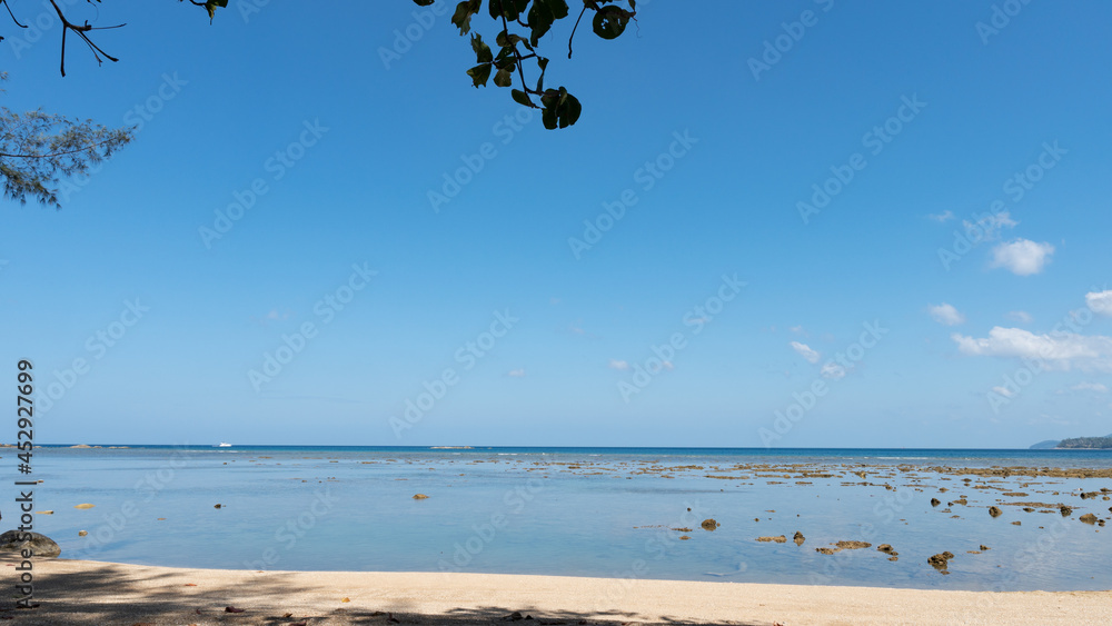 白色背景上美丽的绿叶框架，夏季清新的绿叶背景。