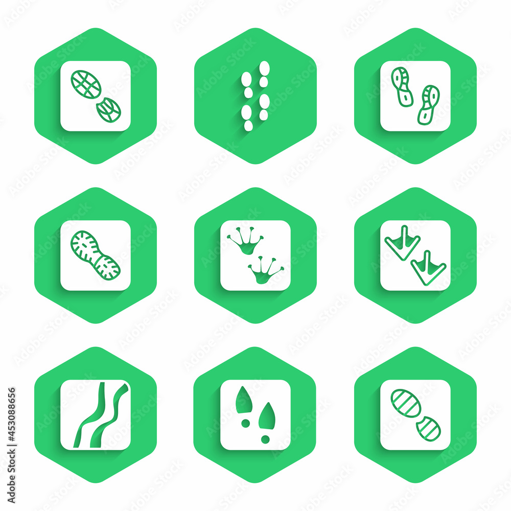 设置青蛙爪足迹、人类足迹鞋、鹅、蛇和图标。矢量