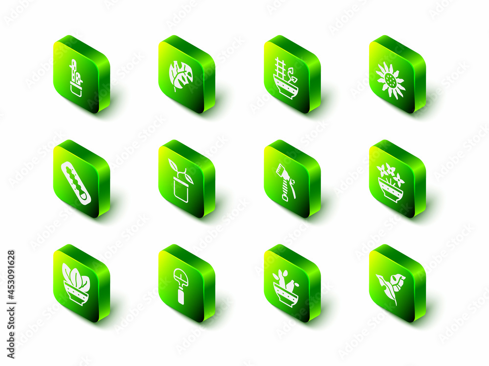 Set Tropical leaves, Plant in pot, Flower, vase, Water spray bottle, Cactus peyote and Shovel icon. 