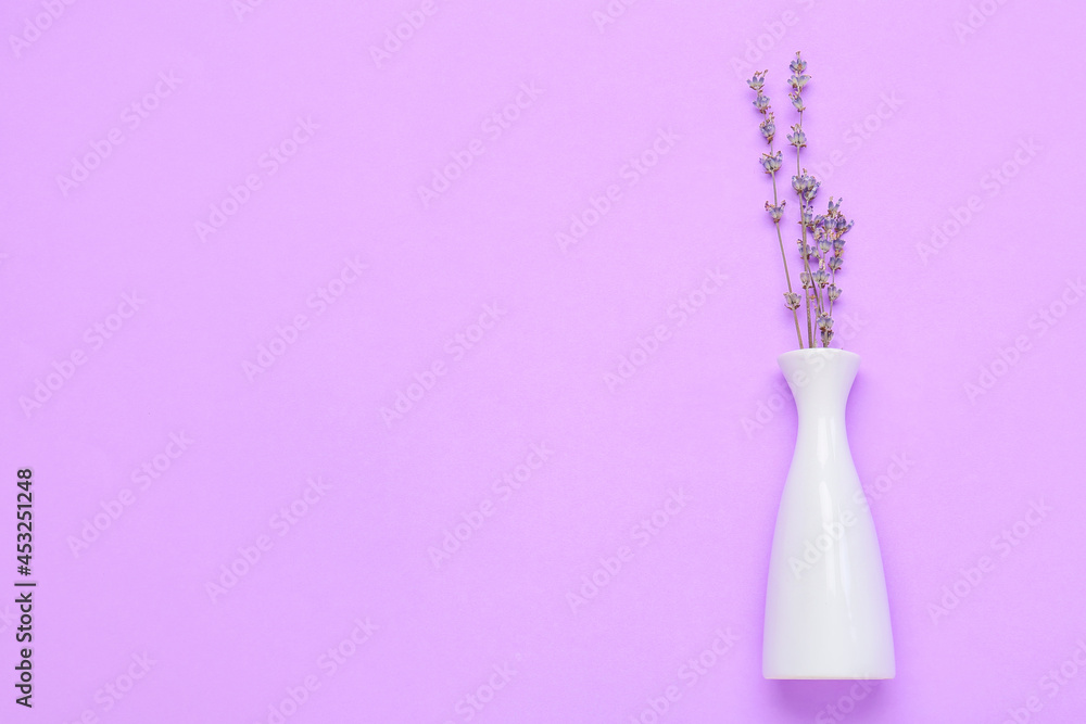 Vase with lavender flowers on color background