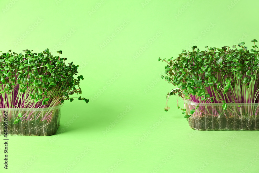 Plastic containers with fresh micro green on color background